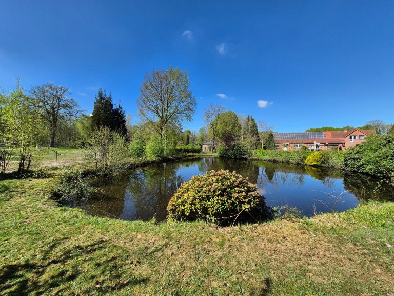 Unser Angelteich Ein ruhiger Teich umgeben von Bäumen und frischem Grün unter klarem, blauem Himmel.