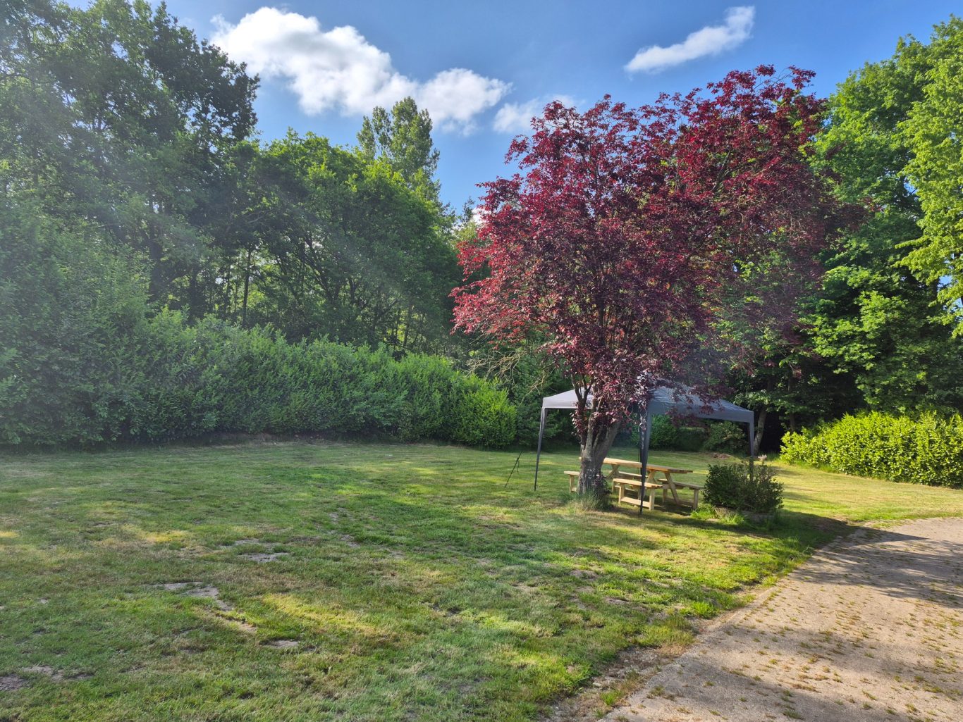Zeltwiese mit Pavillon und Picknicktisch Grünes Grundstück mit blühendem Baum und Blick auf dichte Büsche im Hintergrund.
