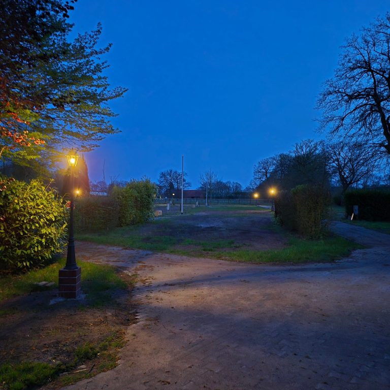 Dunkler Park mit beleuchteten Wegen und Bäumen in der Dämmerung.