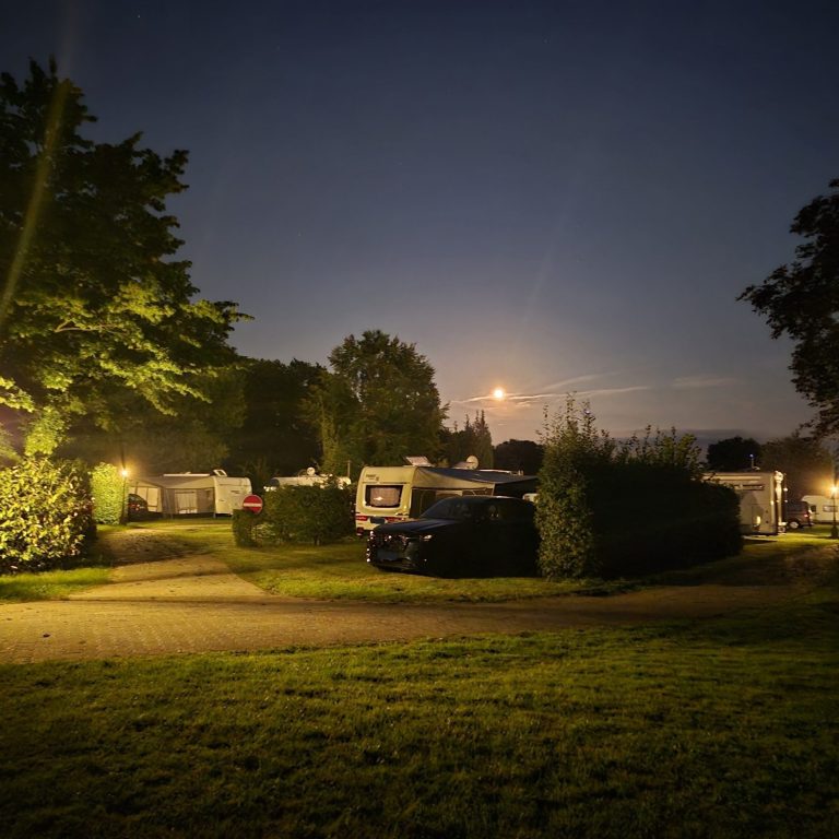 Dämmerung über einem Garten mit einem großen Baum und schwachem Licht.