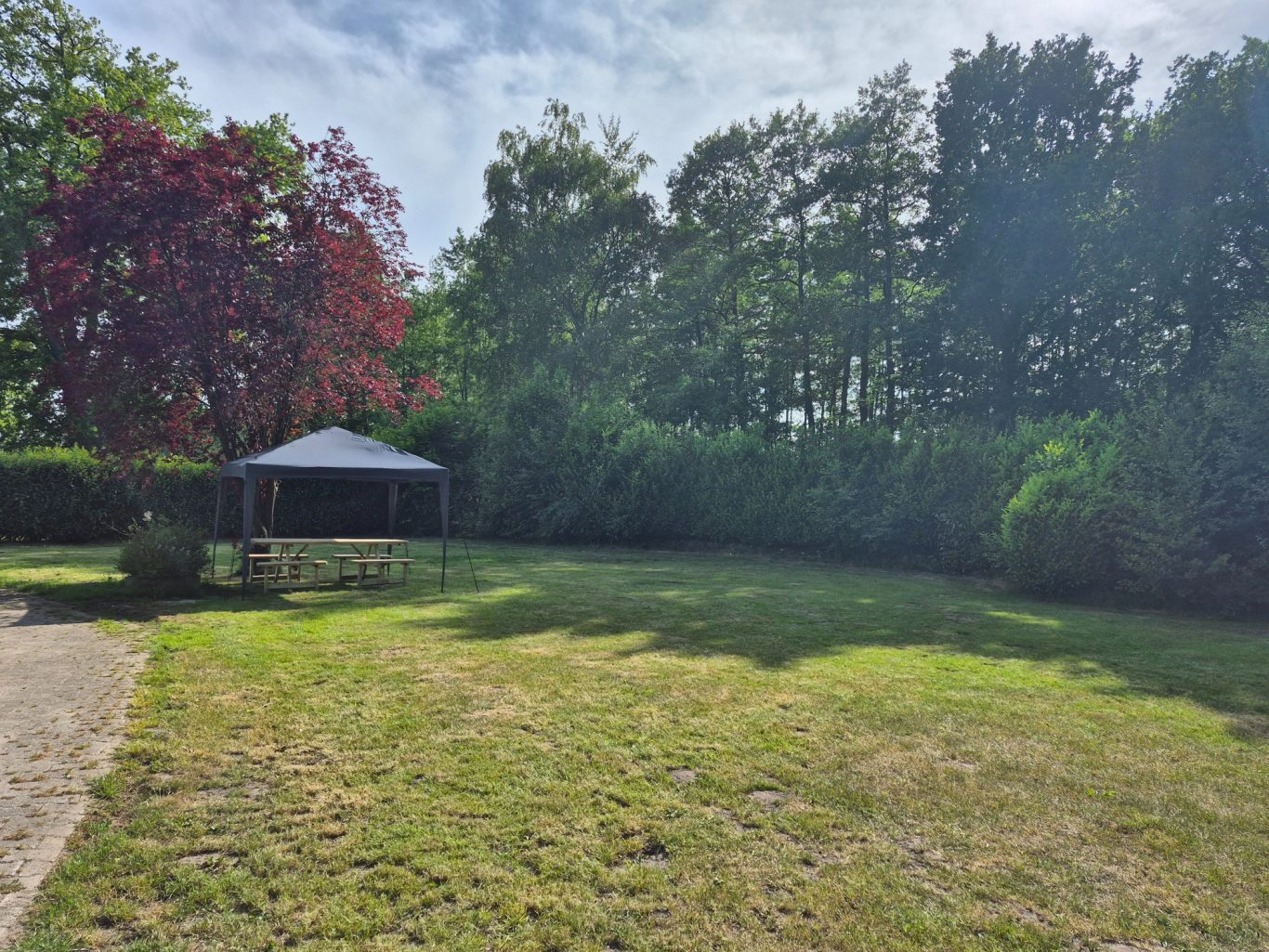 Zeltwiese mit Pavillon und Picknicktisch Grüne Wiese mit Laubbaum und Pavillon im Hintergrund, umgeben von Bäumen.